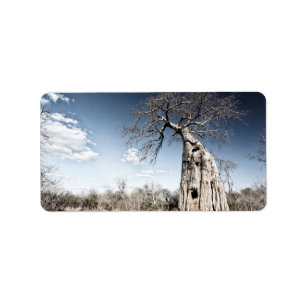 Baobab Tree at Mana Pools国立公園(ジンバブエ) ラベル