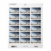 Baobab Tree at Mana Pools国立公園(ジンバブエ) ラベル (フルシート)