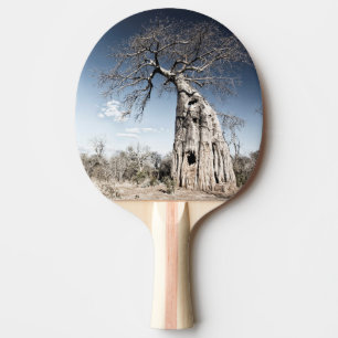 Baobab Tree at Mana Pools国立公園(ジンバブエ) 卓球ラケット