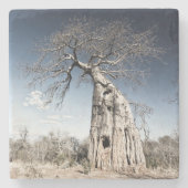 Baobab Tree at Mana Pools National Park写真 ストーンコースター (正面)