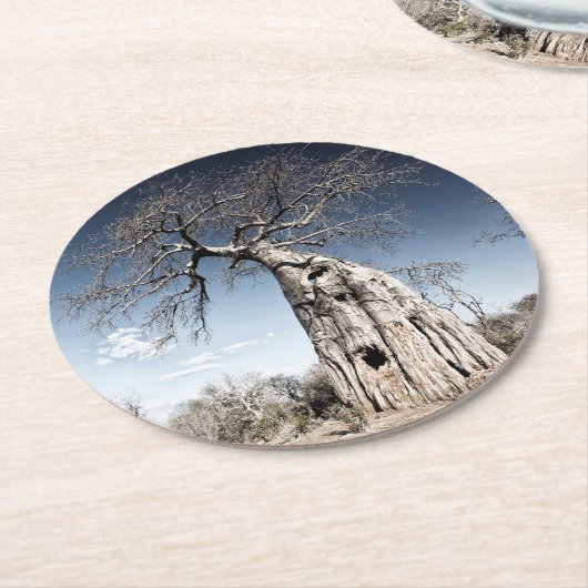 Baobab Tree at Mana Pools National Park写真 ラウンドペーパーコースター (アングル)
