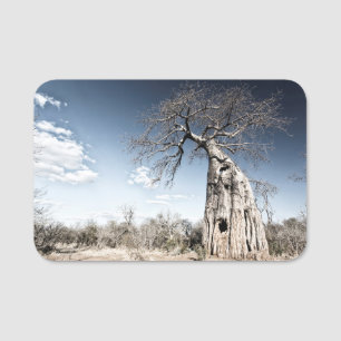 Baobab Tree at Mana Pools National Park,ジンバブエ。 名札