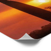 baobab tree poster ポスター (角)