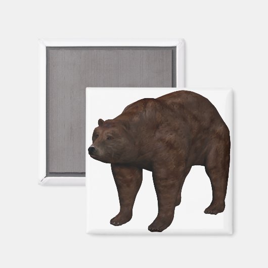 Bär マグネット (正面/裏面)