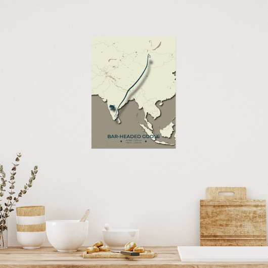 Bar-headed Goose Migration Map – Minimalist ポスター (キッチン)