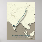 Bar-headed Goose Migration Map – Minimalist ポスター (正面)