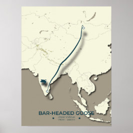 Bar-headed Goose Migration Map – Minimalist ポスター
