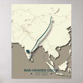 Bar-headed Goose Migration Map – Minimalist ポスター