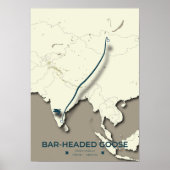 Bar-headed Goose Migration Map – Minimalist ポスター (正面)
