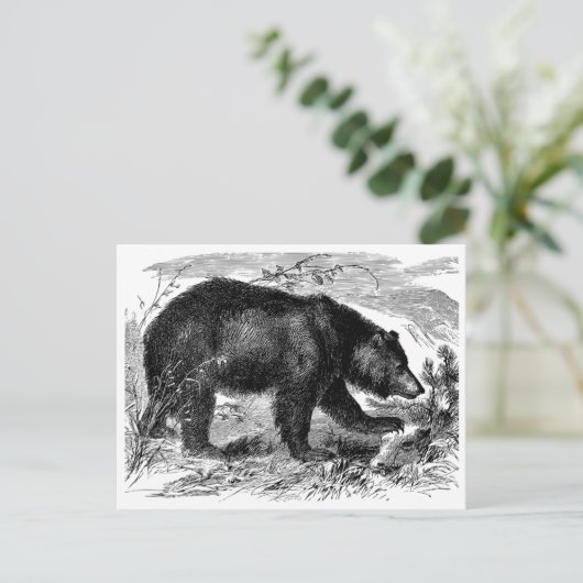 Bär in der Prärie ポストカード (スタンド正面)