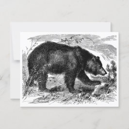 Bär in der Prärie ポストカード