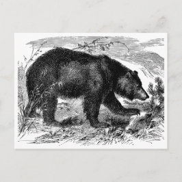 Bär in der Prärie ポストカード
