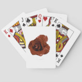 Baraja la Rosa トランプ (裏面)