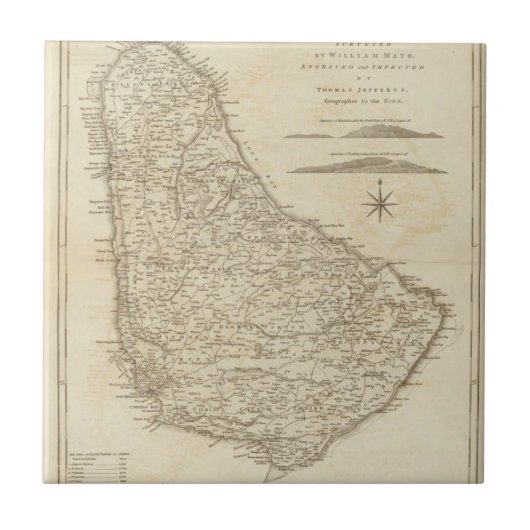 Barbadoes タイル (正面)