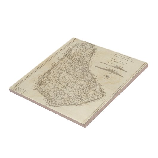 Barbadoes タイル (側面)