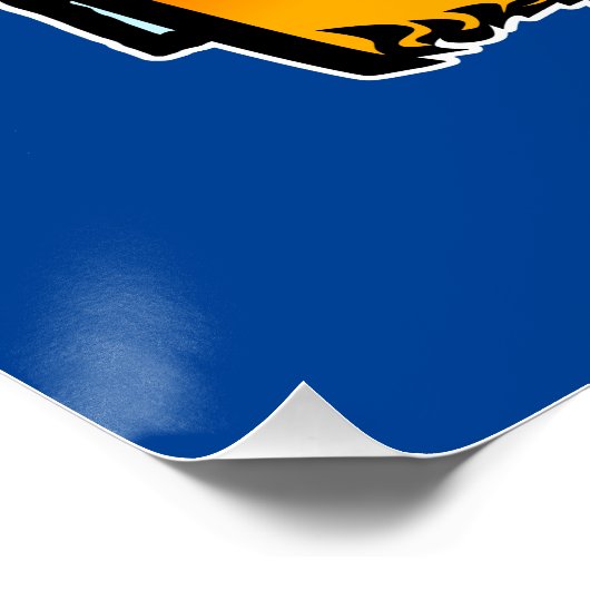 Barbecue party ポスター (コーナー)