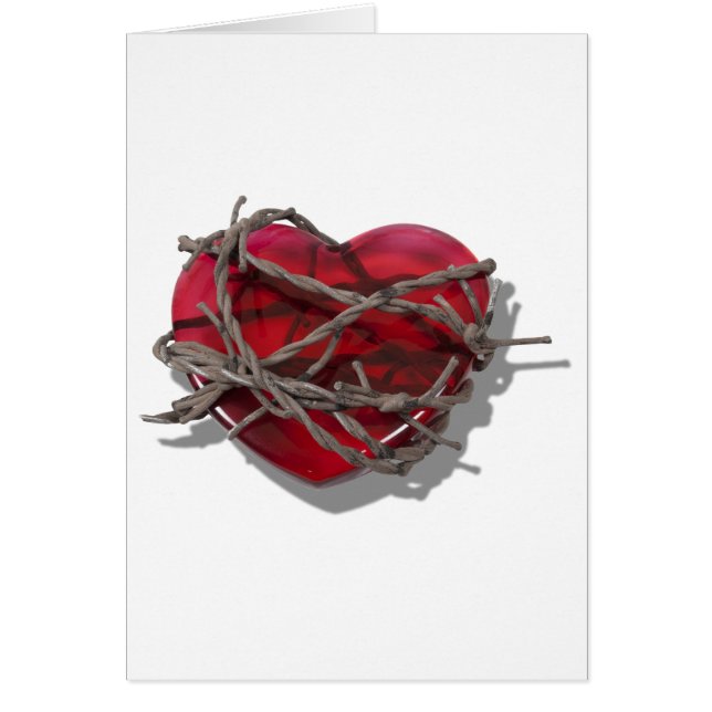 BarbedWireHeart081510 (正面)