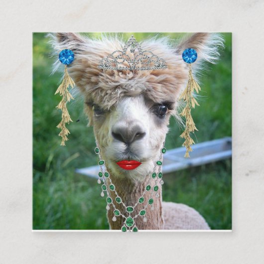 Barbeliのデザイン スクエア名刺 (正面)