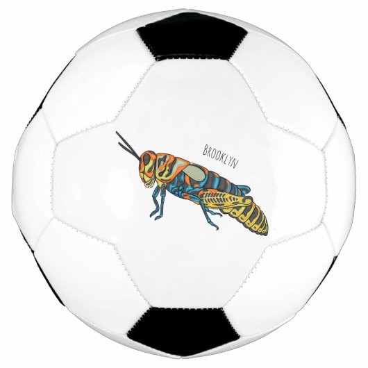 Barber pole grasshopper cartoon illustration  サッカーボール (正面)