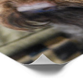 Barbetポスター ポスター (角)