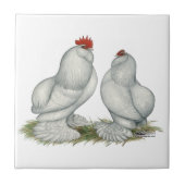 Barbuのd'Everbergの鶏 タイル (正面)