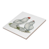 Barbuのd'Everbergの鶏 タイル (側面)