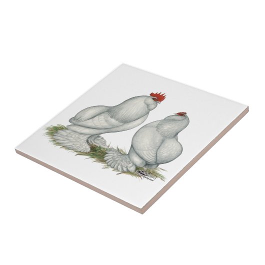 Barbuのd'Everbergの鶏 タイル (側面)