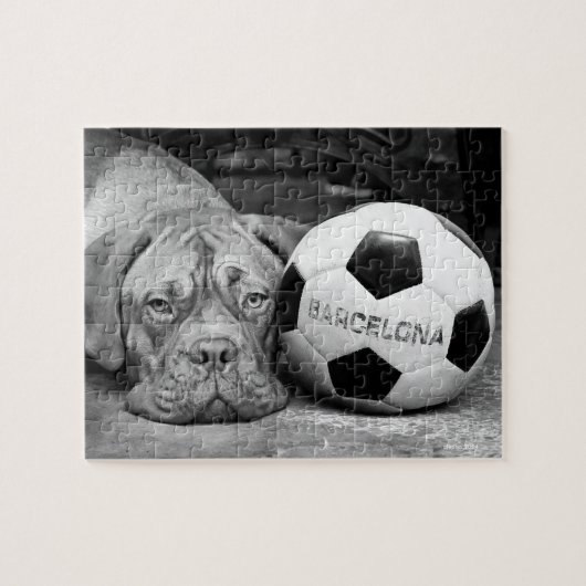 Barcelona's soccer fanatic dog. Barcelona, Spain ジグソーパズル (横)