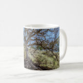 Bare tree on mountain during day コーヒーマグカップ (正面右)