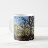 Bare tree on mountain during day コーヒーマグカップ (正面左)