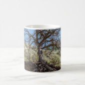 Bare tree on mountain during day コーヒーマグカップ (中央)