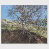 Bare tree on mountain during day ラッピングペーパー (フラット)