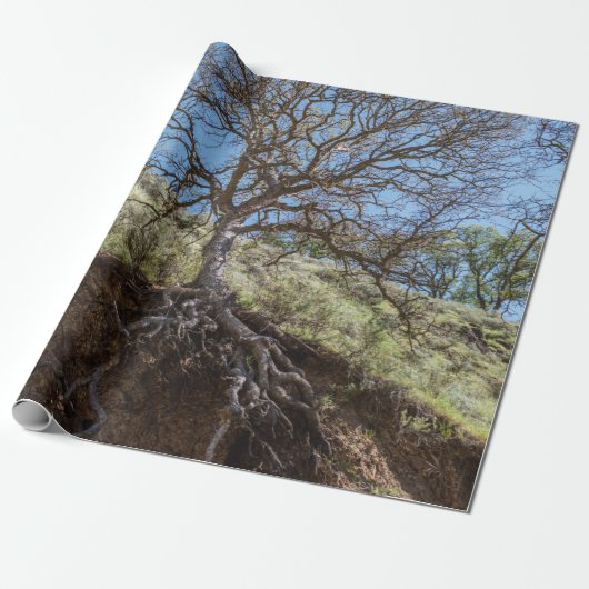 Bare tree on mountain during day ラッピングペーパー (アンロールド)