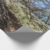 Bare tree on mountain during day ラッピングペーパー (角)
