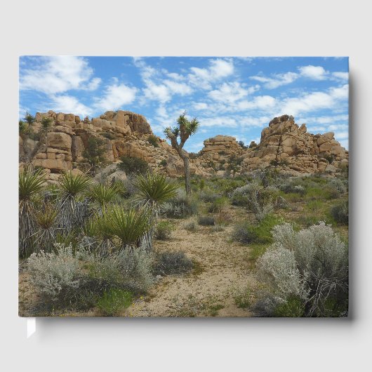 Barker Dam Loop Trail at Joshua Tree National Park ゲストブック (正面)