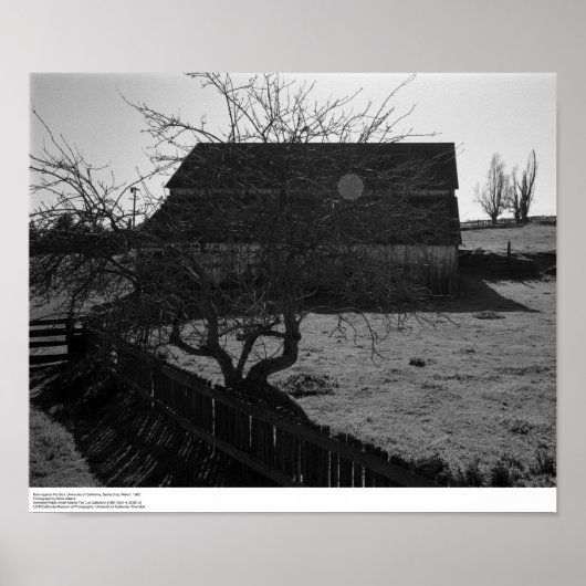 Barn, against Sun (flare spot)、1962年3月 ポスター (正面)