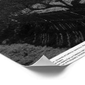 Barn, against Sun (flare spot)、1962年3月 ポスター (角)