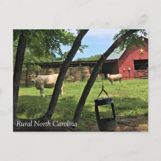 Barn & Cougs, Rural North Carolina Canvas Print Po ポストカード (正面)