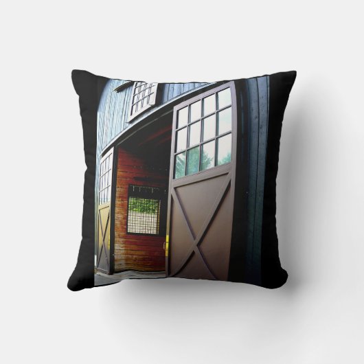 Barn Door Perspective クッション (裏面)
