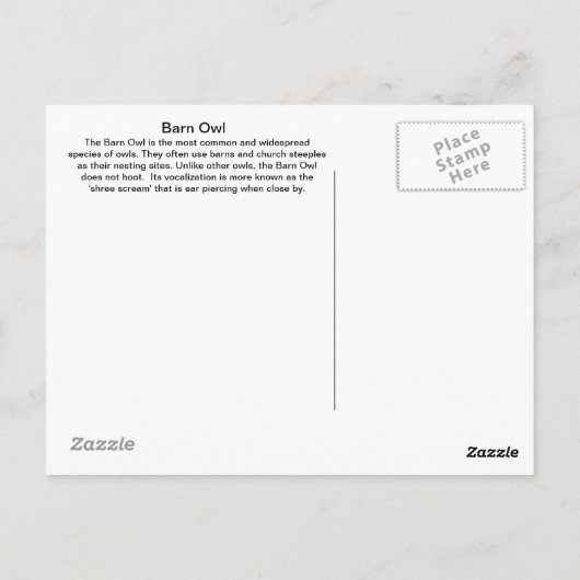 Barn Owlポストカードについて ポストカード (裏面)