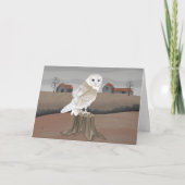 Barn Owl カード (正面)