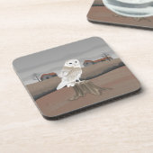 Barn Owl コースター (左側)