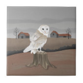 Barn Owl タイル (正面)