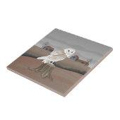 Barn Owl タイル (側面)