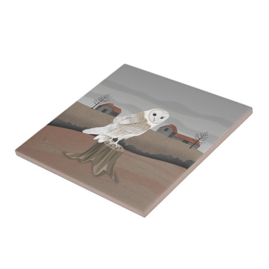 Barn Owl タイル (側面)