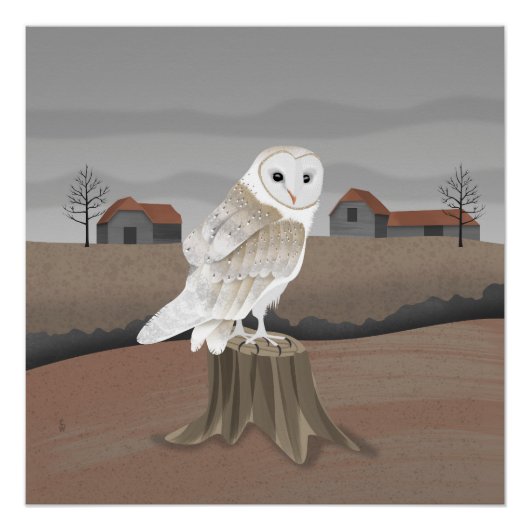 Barn Owl ポスター (正面)