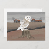Barn Owl ポストカード (正面/裏面)