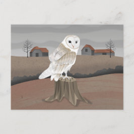 Barn Owl ポストカード