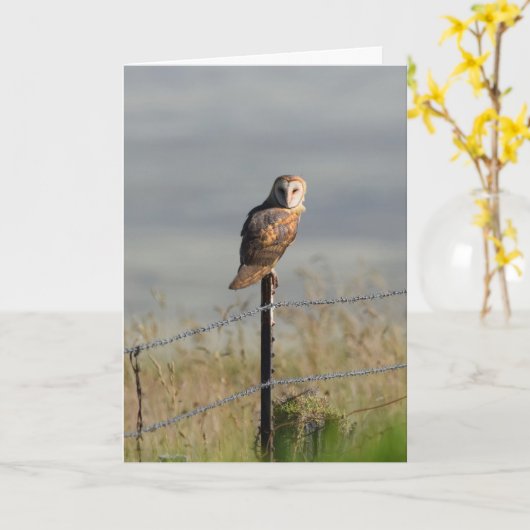 Barn Owl on a Post カード (黄色い花)