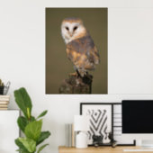 Barn Owl Poster by cARTerART ポスター (Home Office)